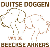 Duitse Doggen